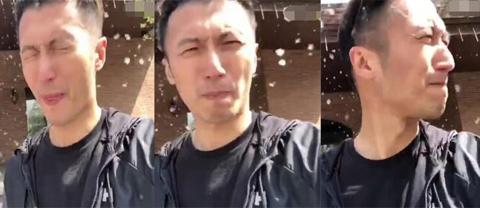 謝霆鋒吃柳絮 畫面竟出奇的美引圍觀他的這個表情亮了 3