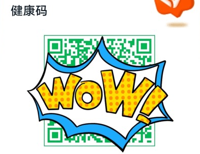 杭州健康碼平臺是什么 1