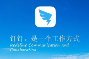手機釘釘直播能不能分屏