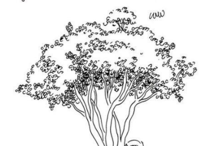 qq畫圖紅包灌木怎么畫簡筆畫 1