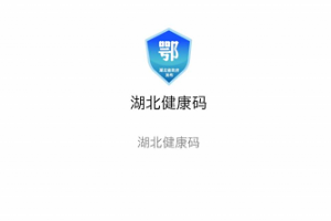 湖北健康碼打不開怎么回事 怎么一直灰色