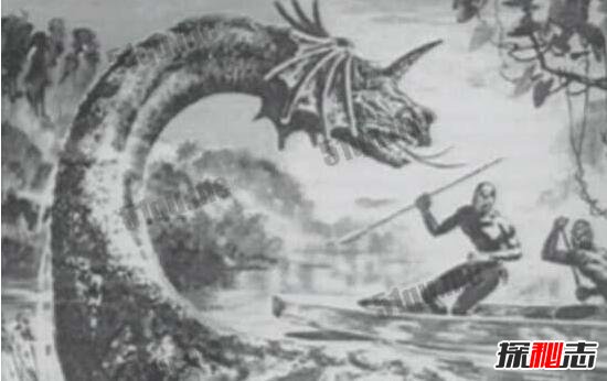 現(xiàn)在世界上還有恐龍 世界上唯一存活的恐龍在哪里 3