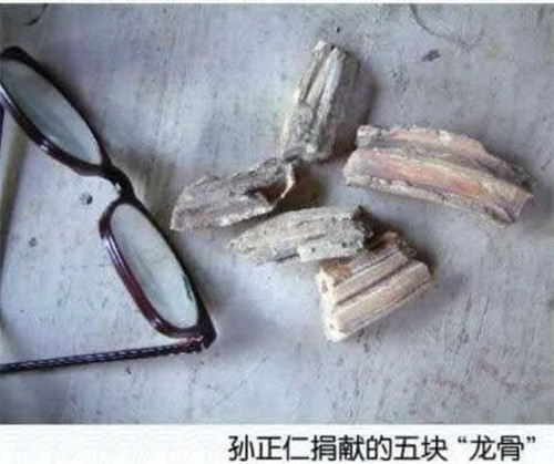 營口墜龍事件真相揭秘 怪物尸體很像龍的尸骸 4