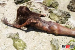 黑鱗鮫人活著的樣子 傳說中的“美人魚”