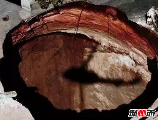 世界十大死亡車庫排名 最詭異的十大車庫 4