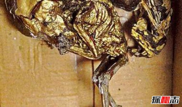 泰國養小鬼是什么意思 小鬼為什么會反噬主人 6