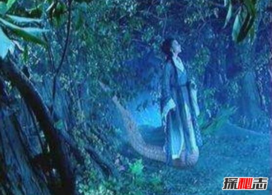 女媧的真身是什么 傳說創(chuàng)世女神真身照片 5