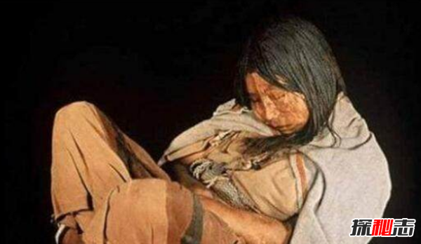 俄羅斯發現冰凍幼獅 無意間發現了一只幼獅 12