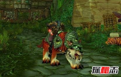 魔獸十大稀有坐騎排名 魔獸世界十大絕版坐騎 8