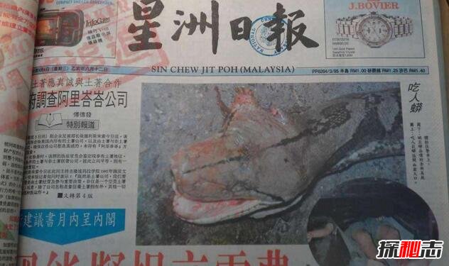 馬來西亞蟒蛇吃人事件 有視頻真的很可怕 3