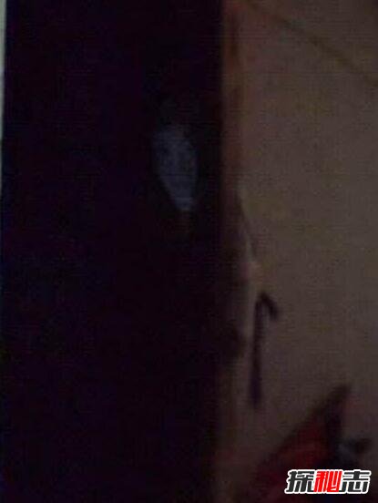 斗魚通靈哥遇到了鬼 是用生命來直播 5