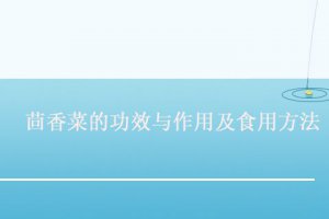 茴香菜的功效與營養(yǎng)