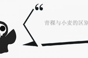 青稞與小麥有什么區別 營養價值