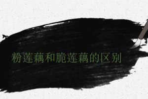 蓮藕粉的和脆的區分 哪個好吃
