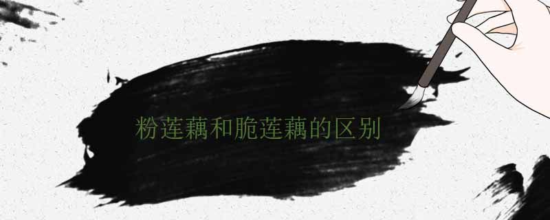 蓮藕粉的和脆的區分 哪個好吃 1