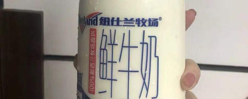 純牛奶與酸奶可以一起喝嗎 酸奶和鮮牛奶食用禁忌 1