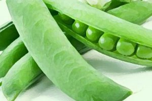 帶殼鮮毛豆如何保存 毛豆保鮮儲藏方法