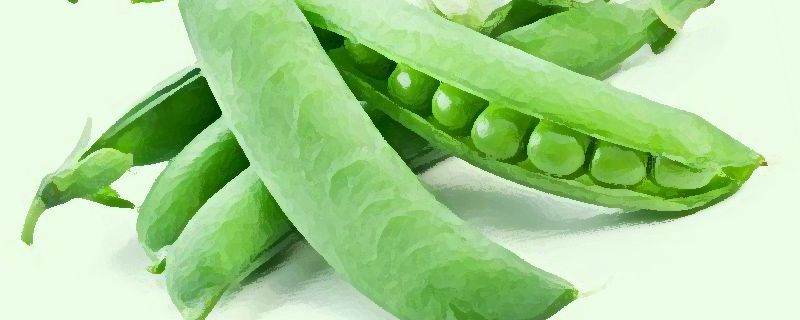 帶殼鮮毛豆如何保存 毛豆保鮮儲藏方法 1