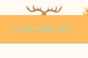 牛油是什么東西 牛油是牛的什么部位