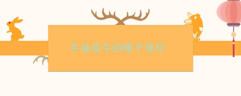 牛油是什么東西 牛油是牛的什么部位 1