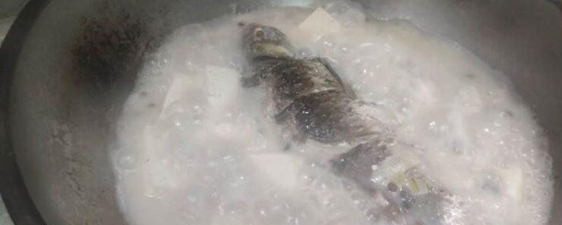 到底是湯有營養還是肉有營養 1