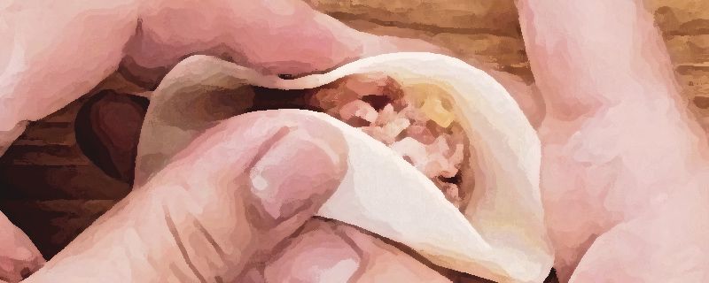 餛飩怎么炸著吃 炸餛飩用不用先煮熟 1
