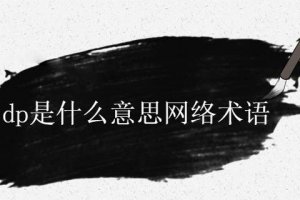 dp代表什么 dp是什么意思是簡寫