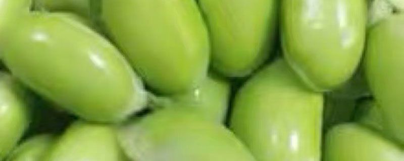 扁豆怎么保存時間長 扁豆可以曬干保存嗎 1