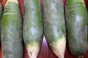 洋蔥和蘿卜干能同吃嗎 洋蔥和蘿卜相克嗎