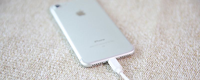 手機進水了放進大米里的辦法 1