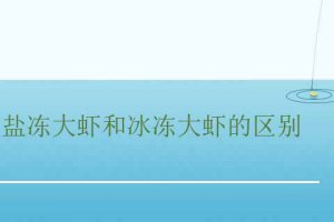 鹽凍大蝦和冰凍大蝦哪個好吃