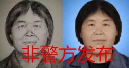 梅姨抓到了嗎2022最新消息 “梅姨案”最新進展 6
