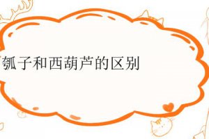 瓠子和西葫蘆是一個(gè)品種嗎 葫蘆和瓠子有什么區(qū)別