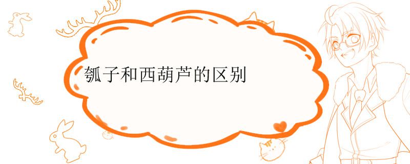 瓠子和西葫蘆是一個(gè)品種嗎 葫蘆和瓠子有什么區(qū)別 1