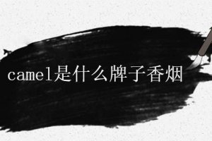 camel香煙哪里的 camel是什么牌子的煙