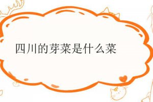成都芽菜是什么菜  四川芽菜是怎么做出來的