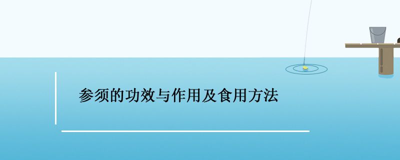 參須怎么吃比較好 參須的功效作用 1