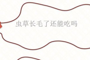 蟲草長毛了壞了嗎 蟲草長毛了怎么處理