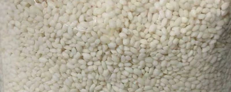 西米是干嘛的 西米到底是什么東西 1