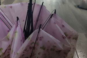 五折傘和三折傘的大小 三折傘和五折傘有什么區別