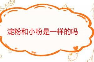 淀粉與小粉是一種嗎 淀粉和小粉的區別作用