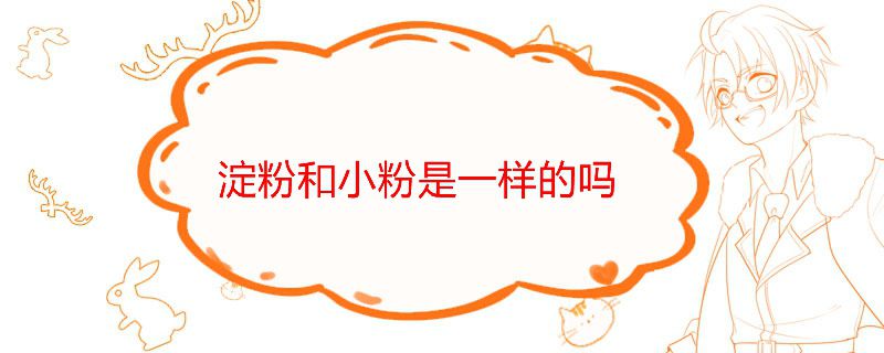 淀粉與小粉是一種嗎 淀粉和小粉的區別作用 1
