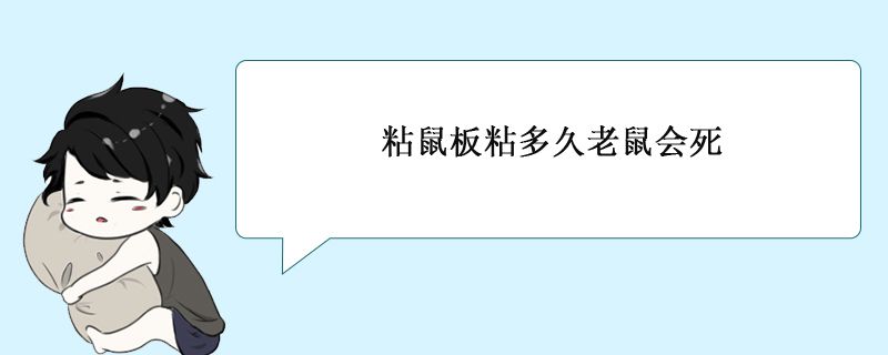 粘鼠板粘到老鼠會死嗎 1
