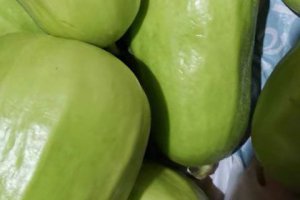 西葫蘆籽能吃嗎?西葫蘆最佳吃法