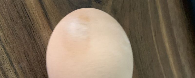地瓜和雞蛋同吃好嗎 1