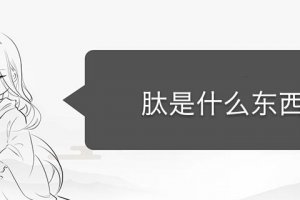 肽從哪里獲取 肽是什么東西提取的