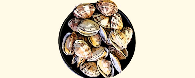 花蛤買了當(dāng)天不吃怎么保存 1