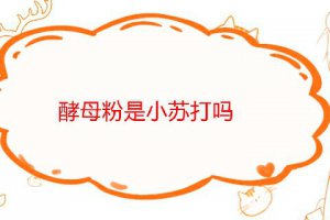 酵母粉跟小蘇打一樣嗎 小蘇打跟酵母粉有何區別