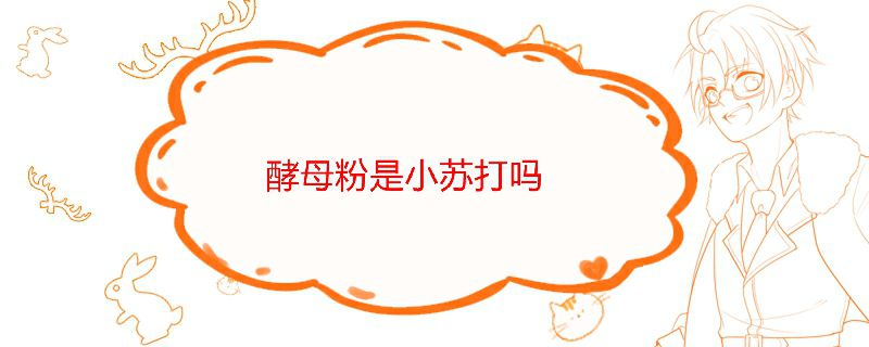 酵母粉跟小蘇打一樣嗎 小蘇打跟酵母粉有何區別 1