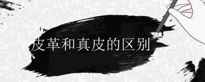皮革和真皮哪個好 1